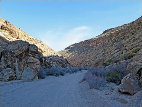 Valley of Faces