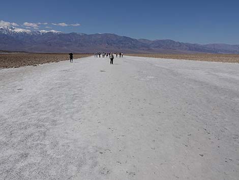 Badwater Salt Flat Trail