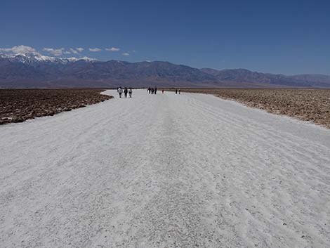 Badwater Salt Flat Trail