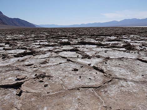 Badwater Salt Flat Trail