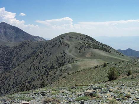 bennett peak