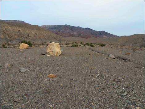 Black Point Canyon