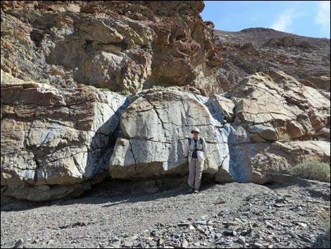 Black Point Canyon