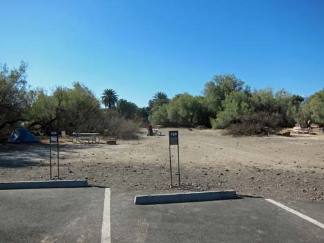 Furnace Creek Campground