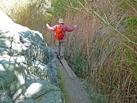 Darwin Falls Trail