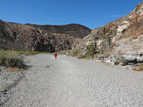 Darwin Falls Trail