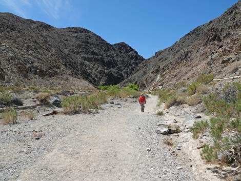 Darwin Falls Trail