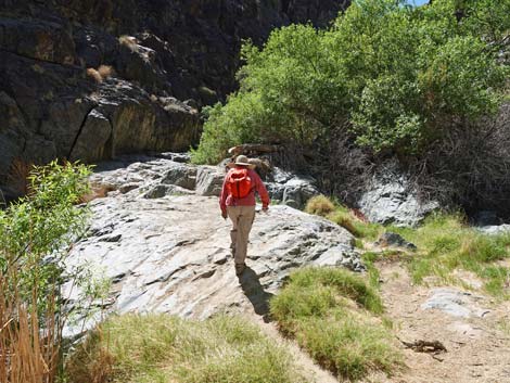 Darwin Falls Trail