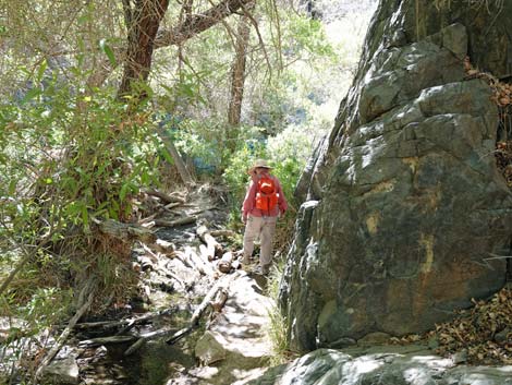 Darwin Falls Trail