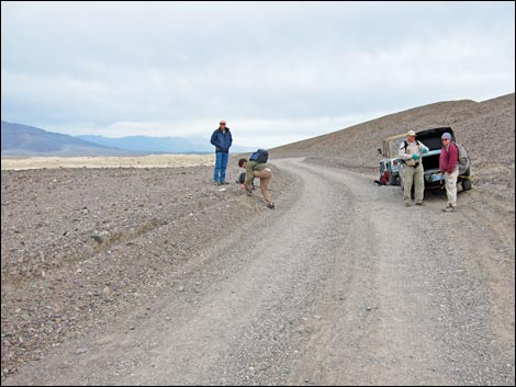 Harmony Salt Flats