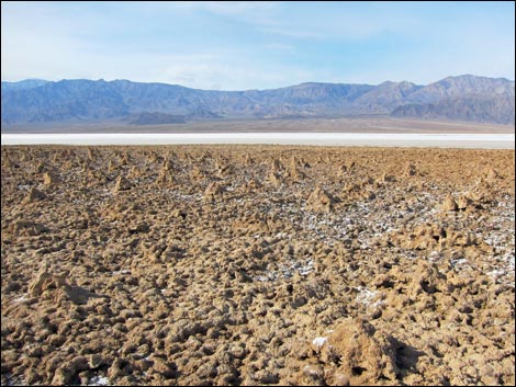 Harmony Salt Flats