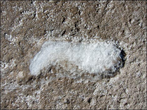 Harmony Salt Flats