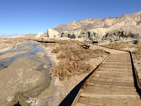 Salt Creek Trail