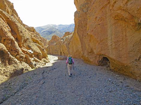 Sidewinder Canyon