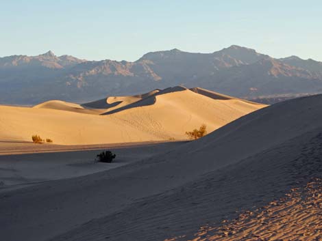 Mesquite Flat Sand Dunes