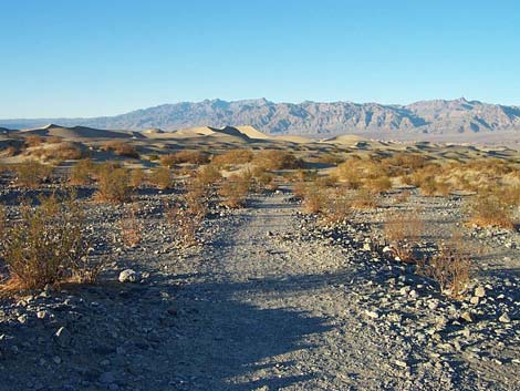 Mesquite Flat Sand Dunes