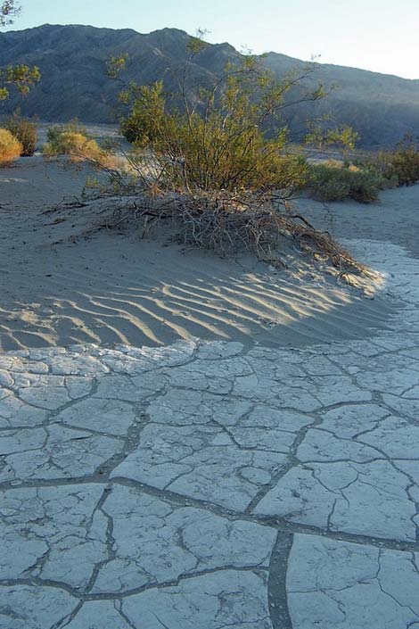 Mesquite Flat Sand Dunes