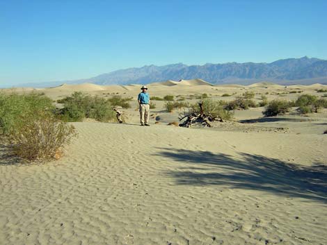 Sand Dunes