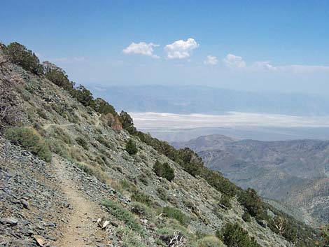 telescope peak