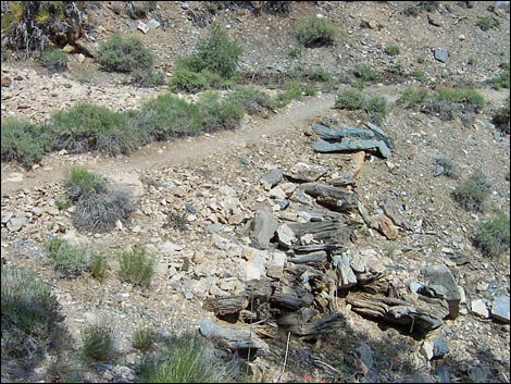 Wildrose Peak