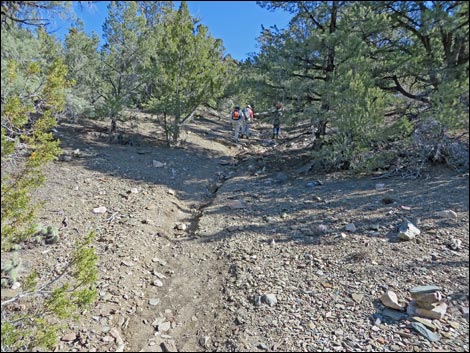 Wildrose Peak