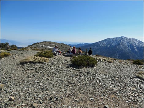 Wildrose Peak