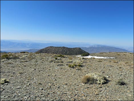 Wildrose Peak