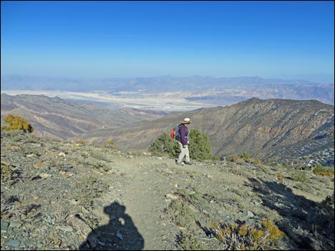 Wildrose Peak