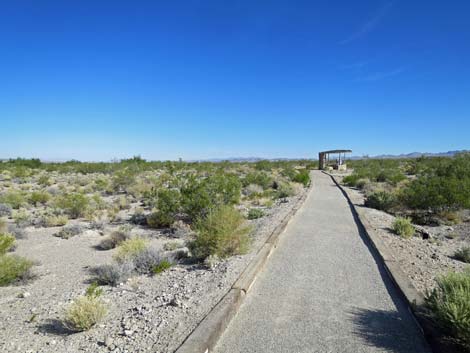 Bighorn Trail