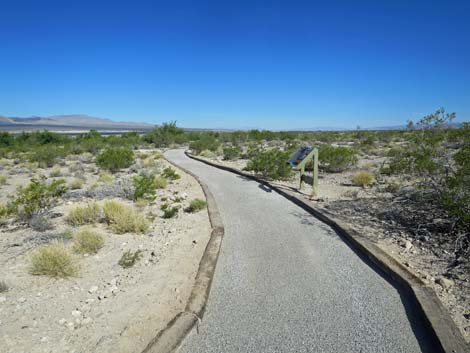 Bighorn Trail