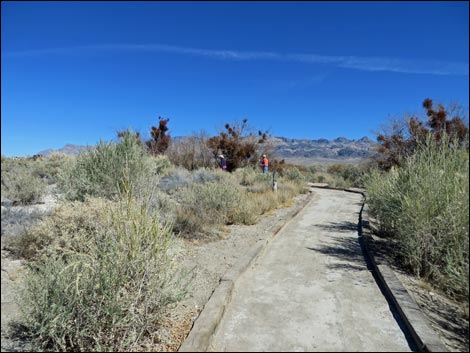 Bighorn Trail