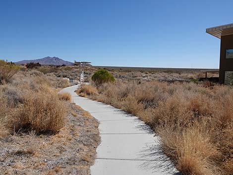 Jackrabbit Loop Trail