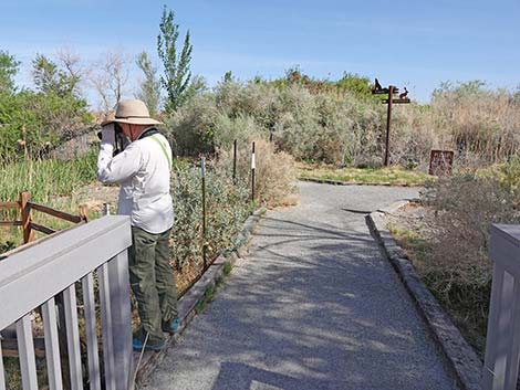 Jackrabbit Loop Trail