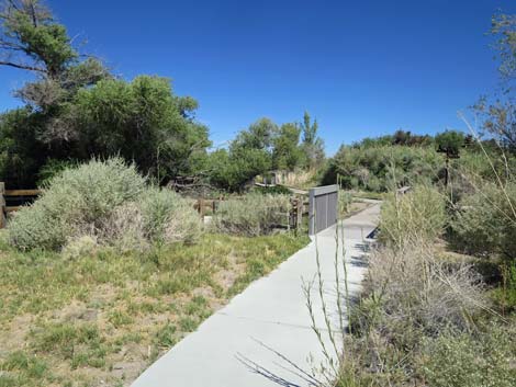 Jackrabbit Loop Trail