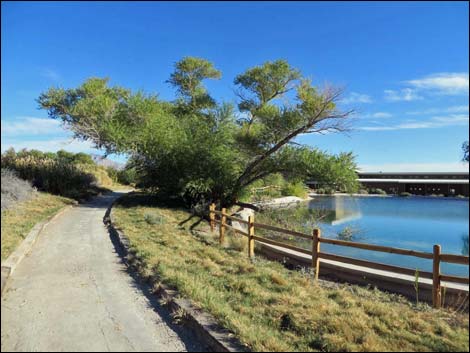 Coyote Trail