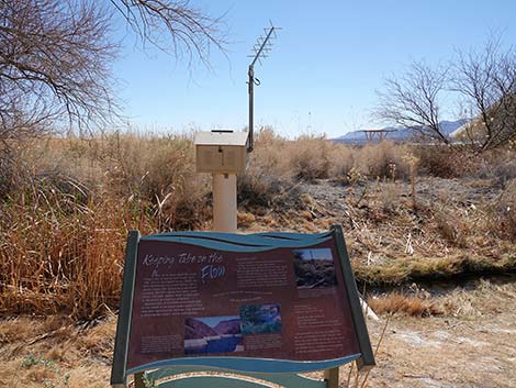 Jackrabbit Loop Trail