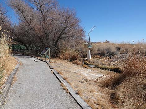 Jackrabbit Loop Trail