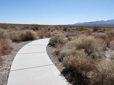 Jackrabbit Loop Trail