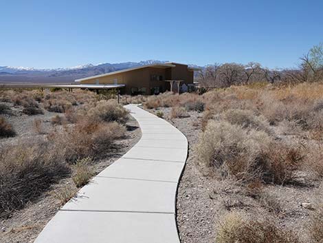 Jackrabbit Loop Trail