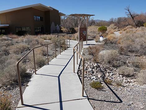 Jackrabbit Loop Trail