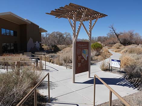 Jackrabbit Loop Trail