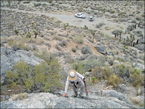 Desert National Wildlife Range