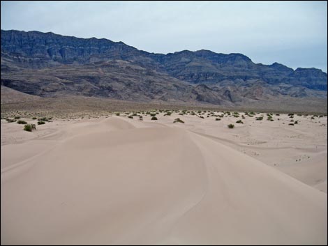 Desert Dry Lake Dunes North