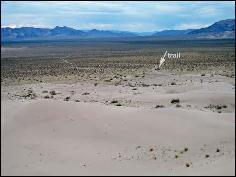 Desert Dry Lake Dunes North