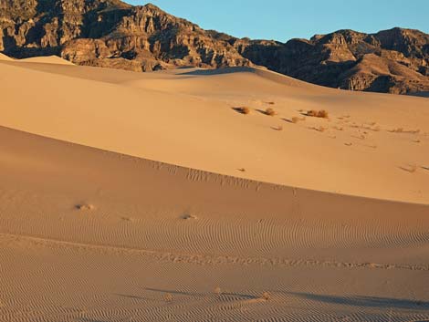 Desert Dry Lake Dunes