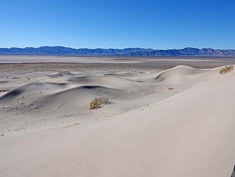 Desert Dry Lake Dunes