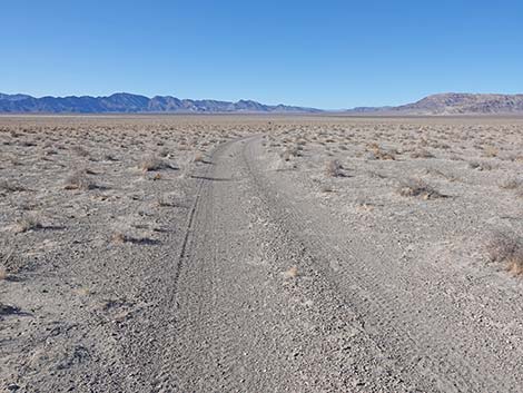 Desert Dry Lake Dunes