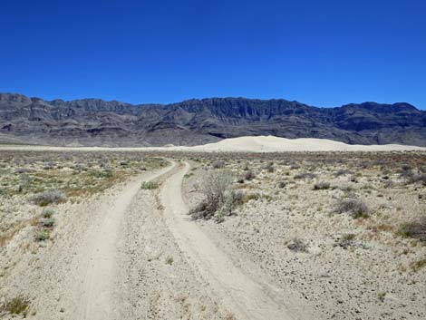 Desert Dry Lake Dunes