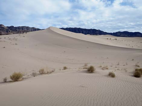 Desert Dry Lake Dunes