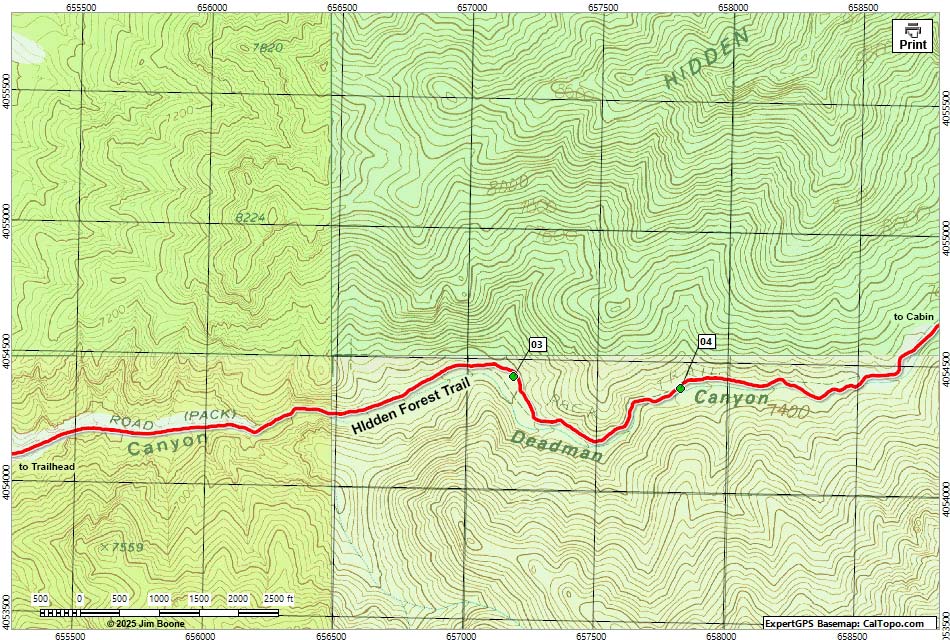 Hidden Forest Route Map Trailhead Section